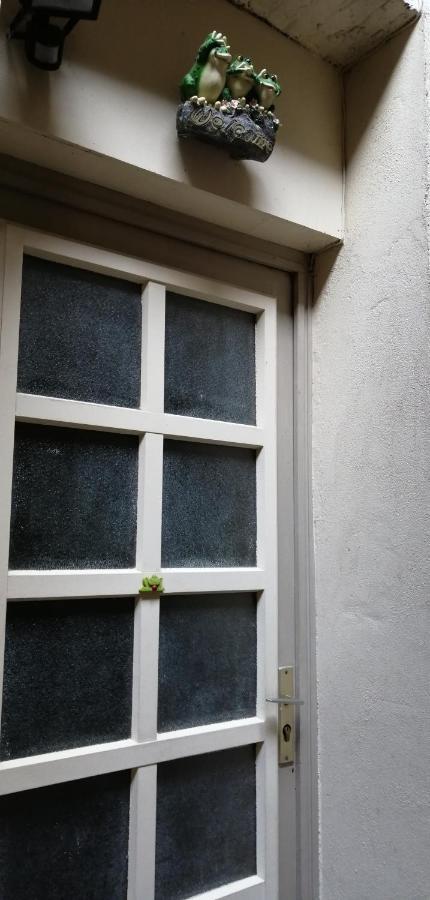 Les Grenouilles Appartement